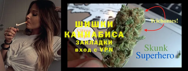 kraken как войти  Мичуринск  Бошки марихуана Bruce Banner 